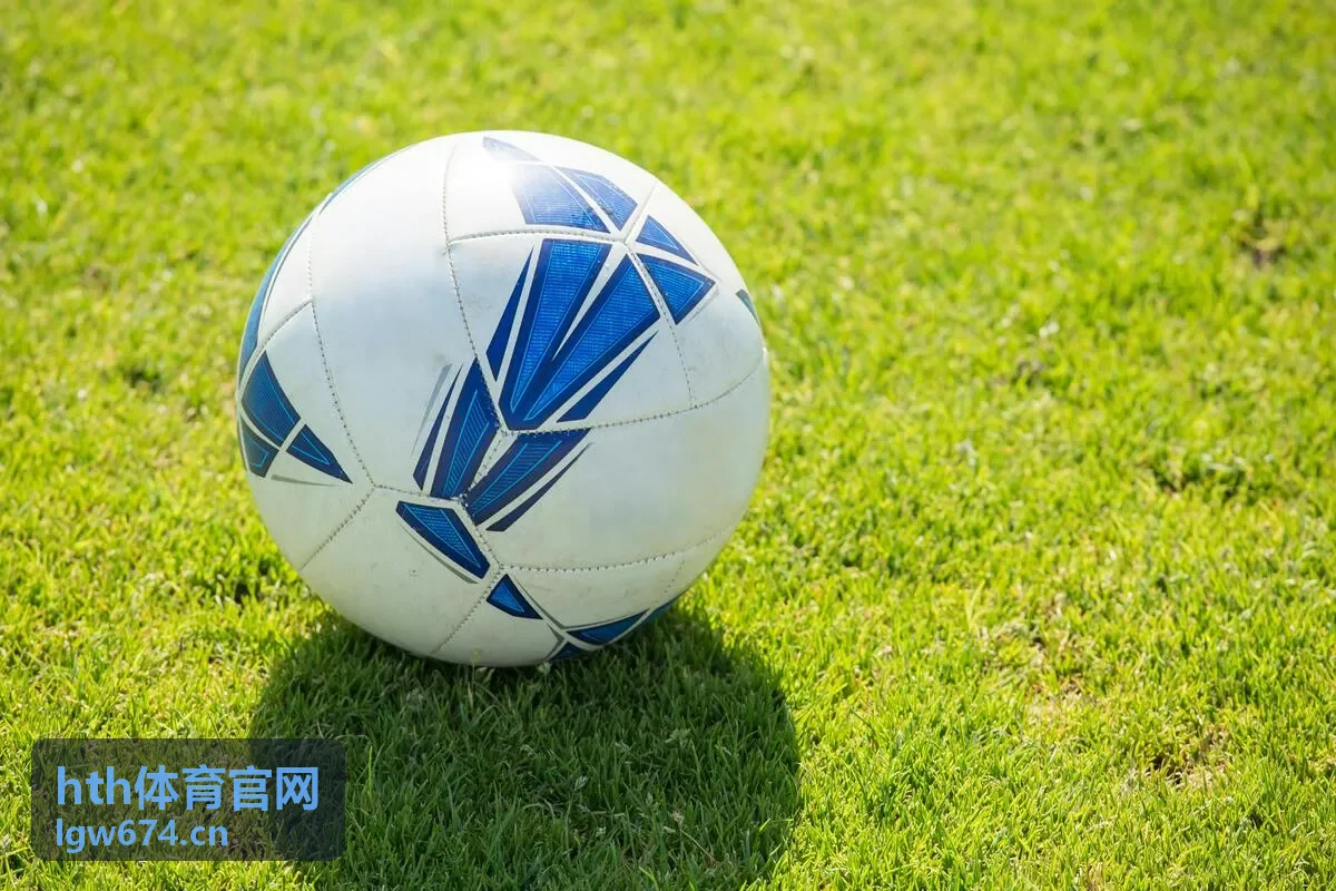 hth体育官网碳纤维竞速羽毛球拍