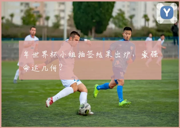 年世界杯小组抽签结果出炉，豪强命运几何？