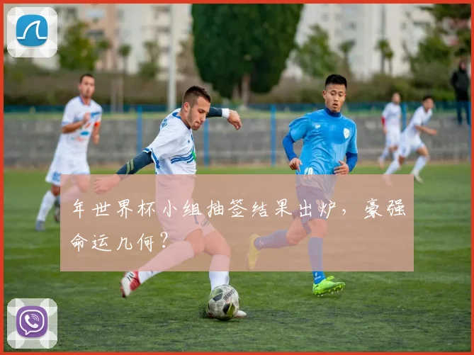 年世界杯小组抽签结果出炉，豪强命运几何？