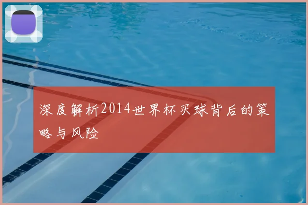 深度解析2014世界杯买球背后的策略与风险